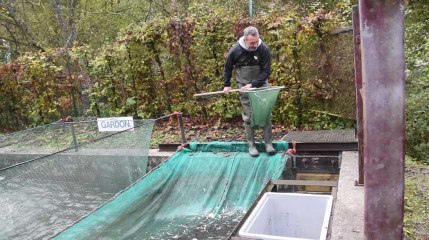 Chimay: la vidange de l'étang de Virelles a débuté