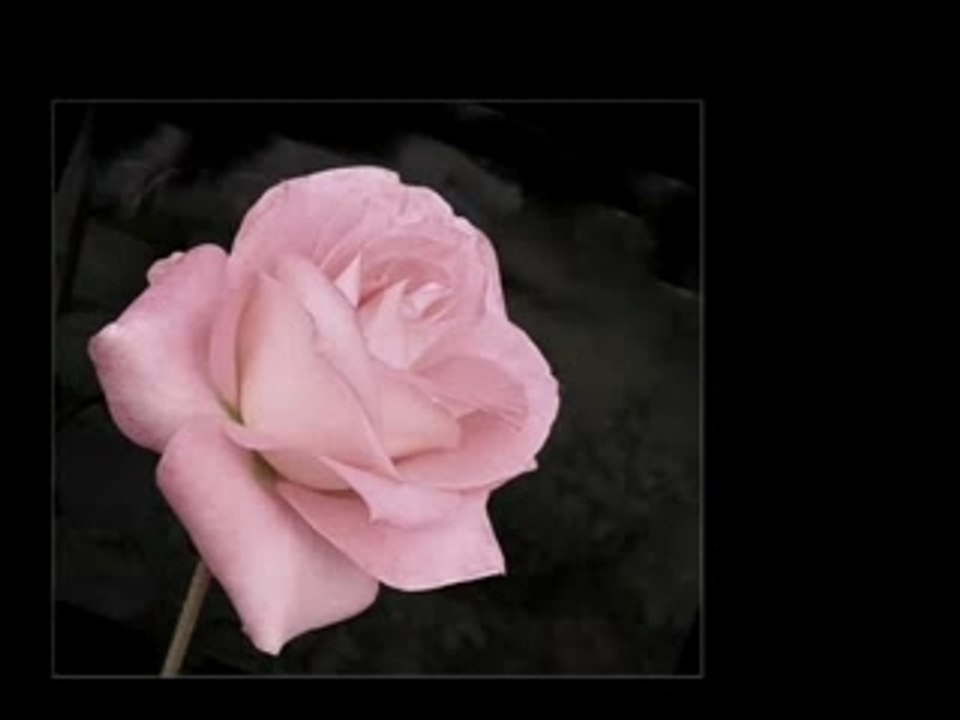 Francesc Picas - Las Grietas