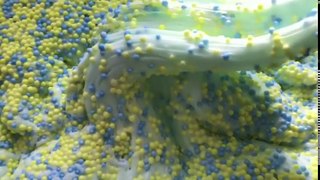 Satisfying Slime Asmr Videos!!