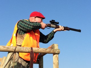 Partie de chasse au sanglier à Clamot près d'Arnay-le-Duc en Côte-d'Or
