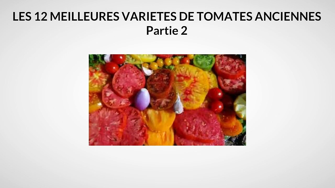 12 Meilleures Variétés De Tomates Anciennes: tomate verte zebra, tomate merveille des marchés, tomate noire de crimée, tomate noire prune
