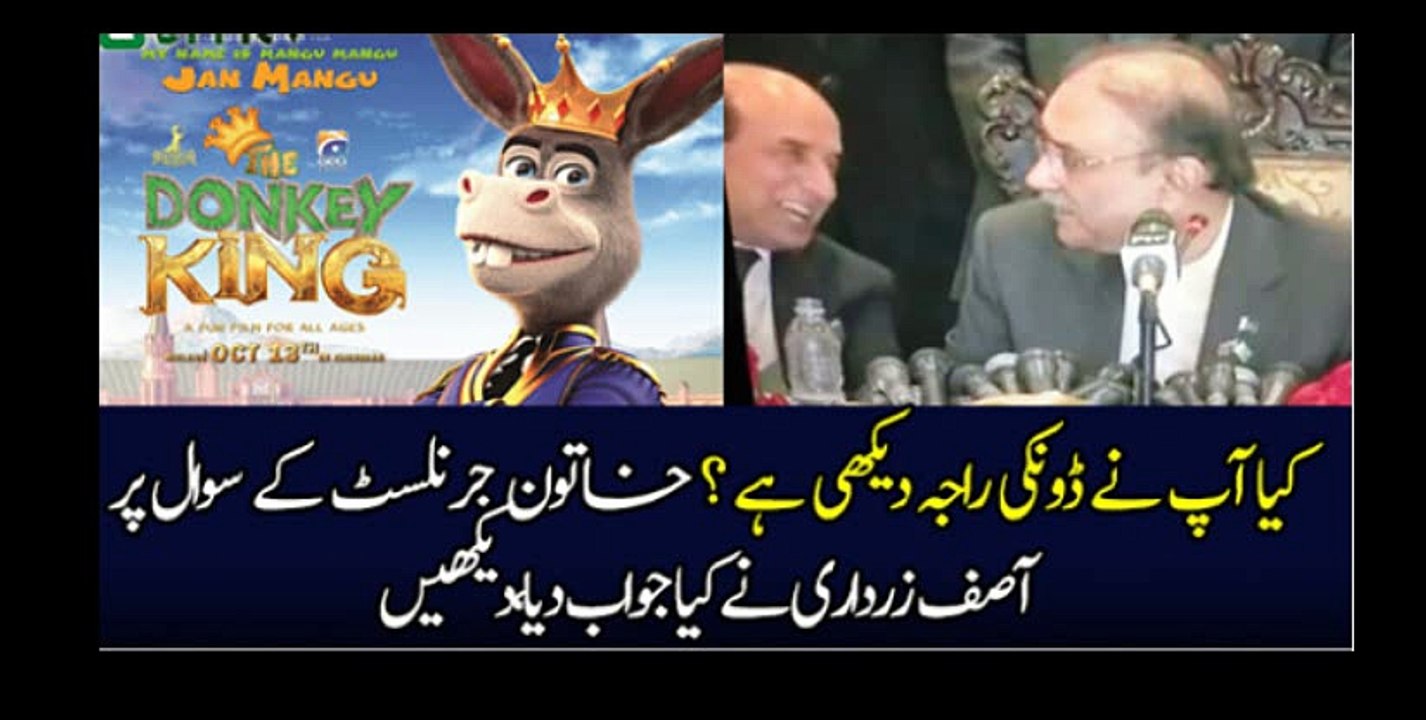 Kya Ap Ne Donkey King Dekhi Hai  Reporter To Asif Zardari