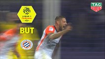 But Andy DELORT (24ème) / Toulouse FC - Montpellier Hérault SC - (0-3) - (TFC-MHSC) / 2018-19