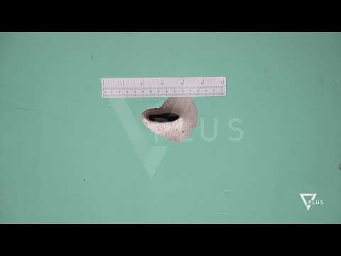 Mediat greke: Kaçifa mbrojti flamurin grek - News, Lajme - Vizion Plus