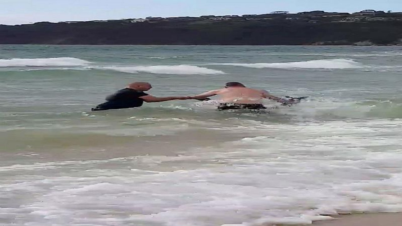 En Australie, la police sauve un kangourou de la noyade