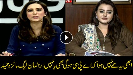 It's not decided yet if APC to be held: PML-N's Maiza