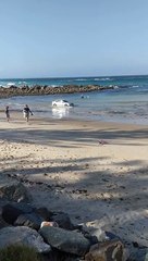 Un automobiliste vient rouler dans la mer... Mais pourquoi???