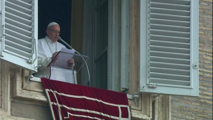 교황, 피츠버그 유대교 사원 총기 난사 개탄 / YTN