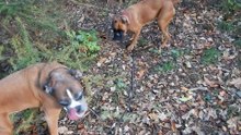 20182028_Zeppo_Patou_Steeg