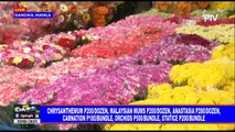 Update sa presyo ng mga bulaklak sa Dangwa