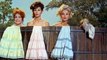 Petticoat Junction S3 E15 - The Butler Did It