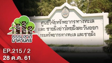 ธรรมชาติมาหานคร | EP.215/2 | 28 ต.ค. 61 | NEW18 | ช่อง 18