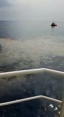 Pesawat Lion Air terhempas: 188 dikhuatir terbunuh