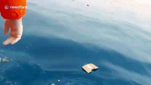 Rescuers find debris of Lion Air flight JT 610 after crash near Jakarta