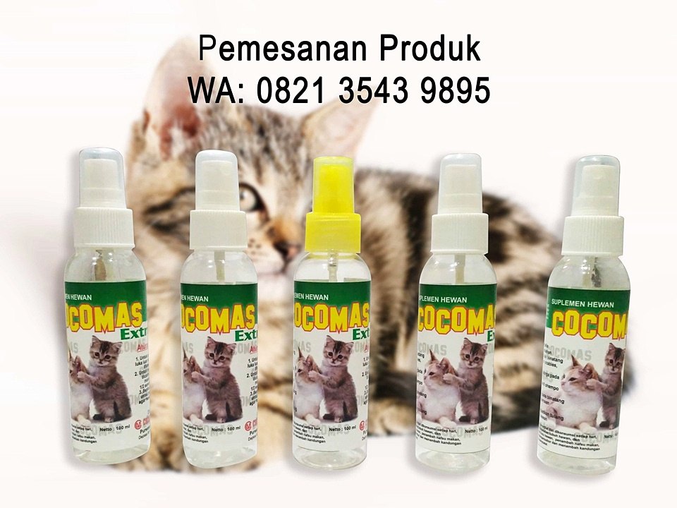 PUSAT DISTRIBUTOR - Obat Cacing Kucing, 0821 3543 9895