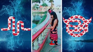 The Most Popular Musically Videos -- New Musical.ly Video Compilation