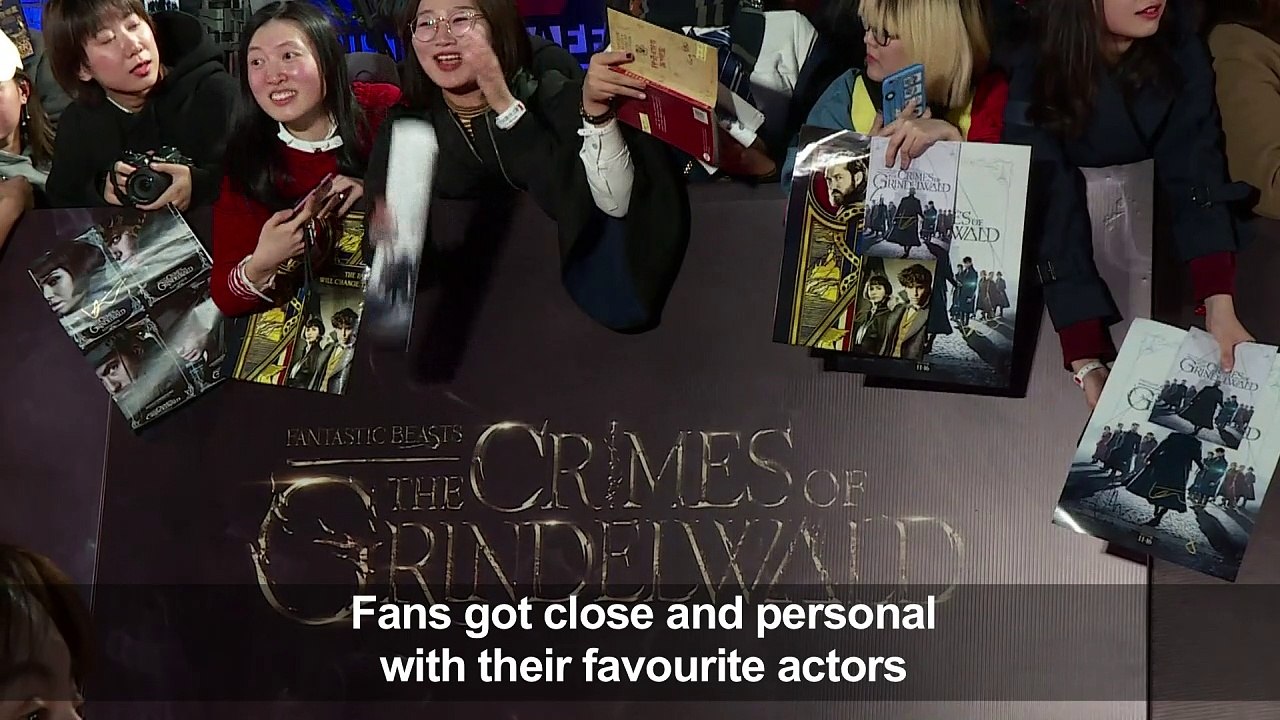 'Fantastic Beasts' cast walks red carpet at China event
