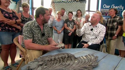 [Documentary] Beach Live Jurassic Coast Revealed 3of3