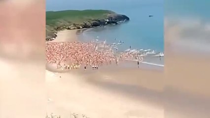 Ireland, record nudist dive: 2,500 women at sea to fight cancer