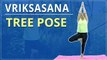 How To Do TREE POSE | Step By Step VRIKSASANA | Simple Yoga Lessons | Yoga For Beginners