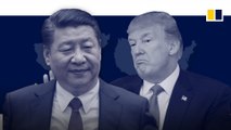 The origins and impact of the US-China trade war