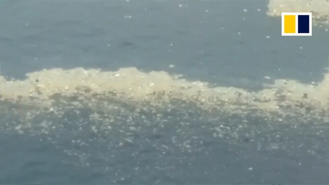 Indonesian plane crashes into sea