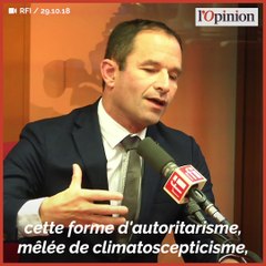 Election de Bolsonaro: «L'ombre du fascisme s'étend partout dans le monde», alerte Benoît Hamon