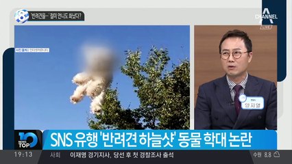 ‘반려견을…’ 절미 언니도 화났다?