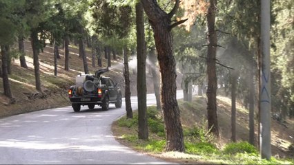 Ψεκασμός για τις κάμπιες στα περιαστικά δάση της Λαμίας