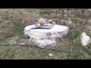 Ora News - Ja pusi ku u mbyt fëmija 4 vjeç në Patos