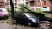 Milano,  alberi caduti sulle auto causa maltempo: automobilisti illesi | Notizie.it