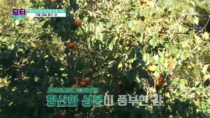 장내 유익균 증가에 도움 주는 가을 제철 음식 00?