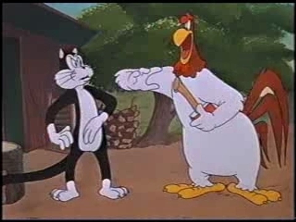 Foghorn leghorn - a fractured leghorn