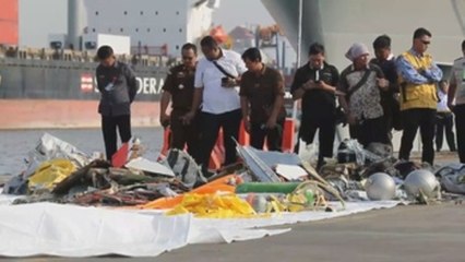 Sin rastro de vida de los 188 ocupantes del avión estrellado en Indonesia