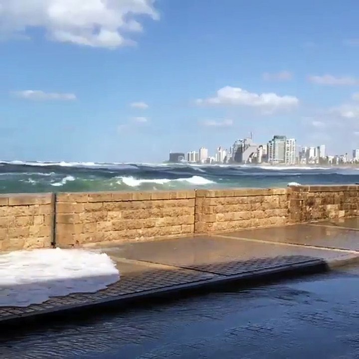 يافا