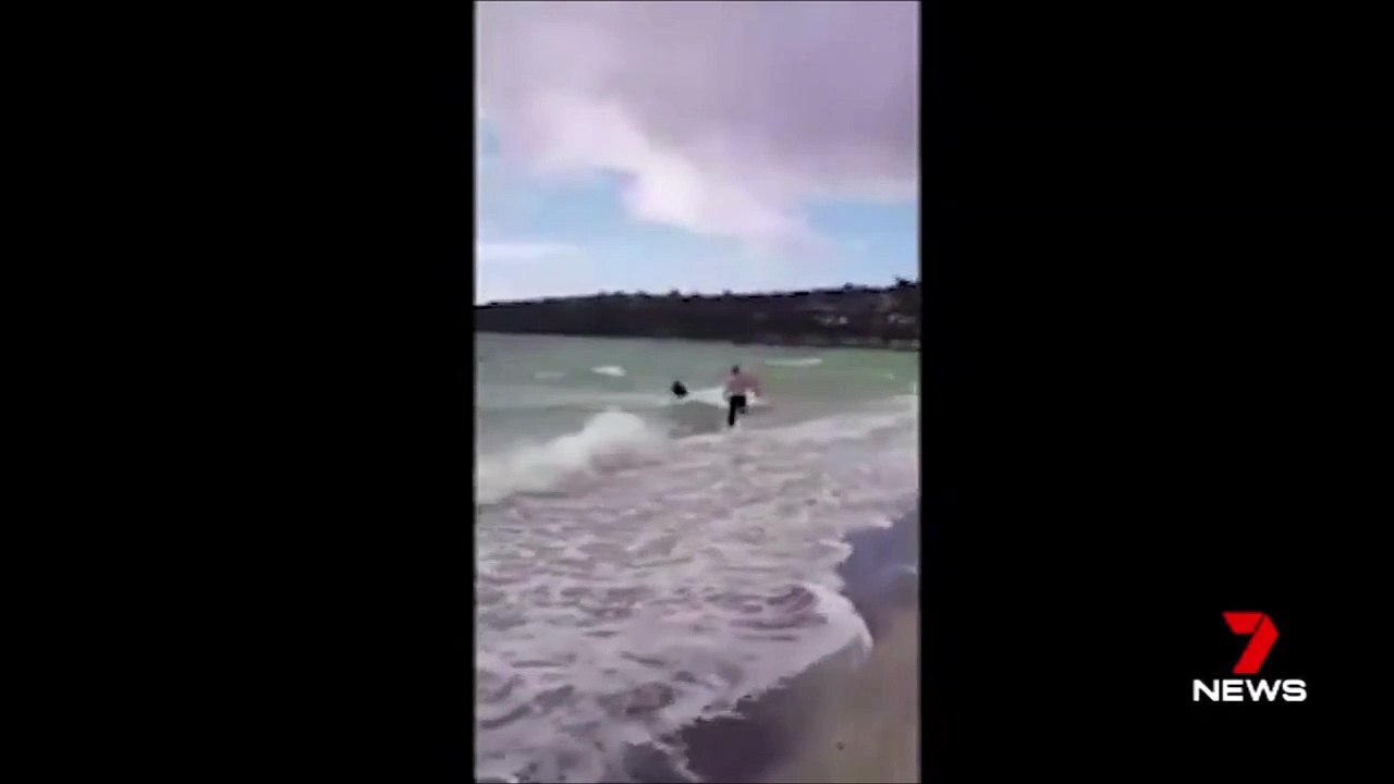 En Australie, la police sauve un kangourou de la noyade !