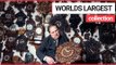 Two brothers have amassed the world's largest collection of cuckoo clocks | SWNS TV
