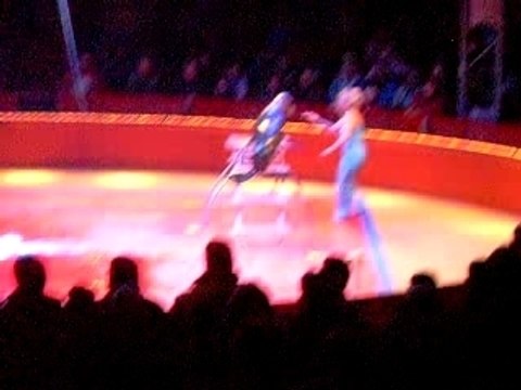 Revue du cirque d'europapark noël 2007 les otaries