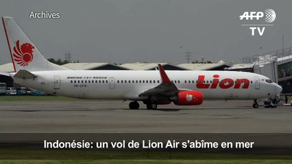 Indonésie : peu d'espoir pour les 189 personnes d'un Boeing