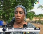 ORTM/Journée internationale de la femme rurale plusieurs groupement de femme ont reçu de la part du President de la République des dons de matériaux agricoles