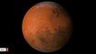 Scientists: 50/50 Chance Evidence Of Life On Mars Will Be Discovered In Next 3 Years