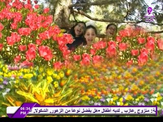 أنشودة هانحن فريق الألوان بدون ايقاع