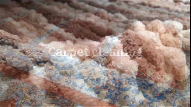 Best Carpet Cleaning Brisbane