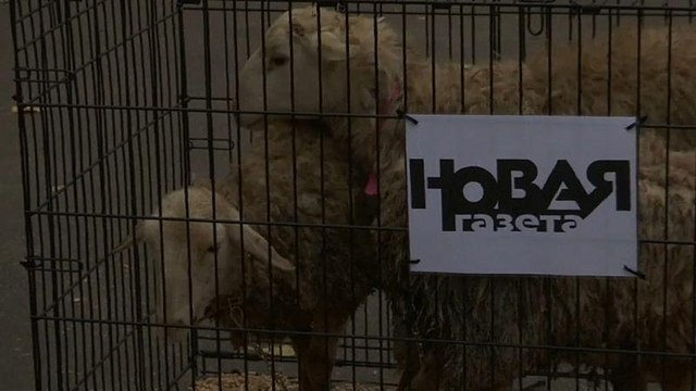 Новые овцы у «Новой газеты»