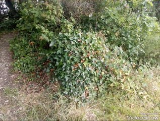 Anti tank triangle concrete cones from the second world war
