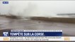 Tempête: les opérations de secours de Corse du sud font état de 9 blessés légers à l'heure actuelle