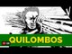 O QUILOMBO DOS PALMARES │ História do Brasil