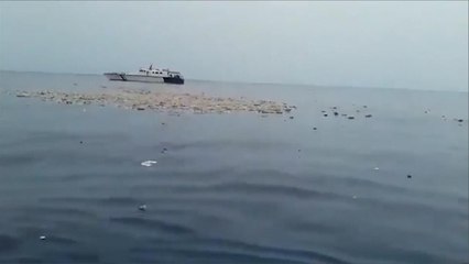 جاكرتا تؤكد عدم العثور على ناجين من تحطم الطائرة