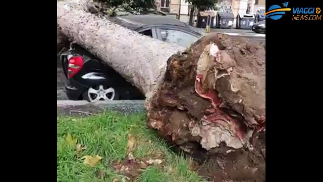 Maltempo a Roma, tempesta e raffiche di vento