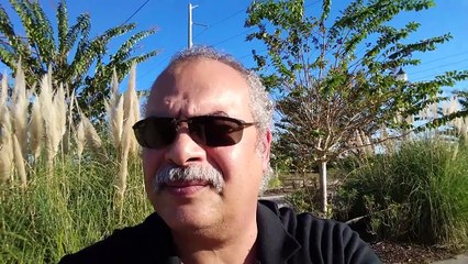 )نصيحة إلى عبيد الملك وعبيد الأمير.  ولى  امرك هو ابوك يالقيط (عبدالحميد سابق ]